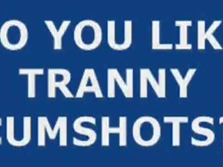Besar shooter transgender