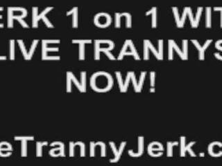 Dominik shim Live Tranny